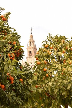 Tower of the Cathedral of Seville