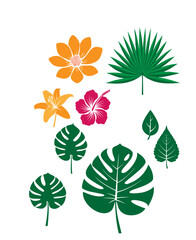 Pflanzen und Blumen Illustrationen