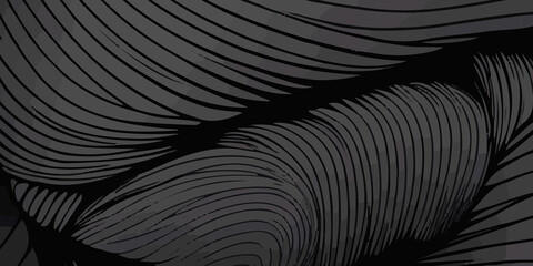 Beautiful dark and light black background design with flowing black and grey lines. A wall background with a vibrant light black and dark black color of the world, lovingly made of a group of lines.