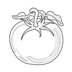 illustration of an apple