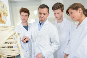 Fototapeta premium student and teacher in medical class - skeleton