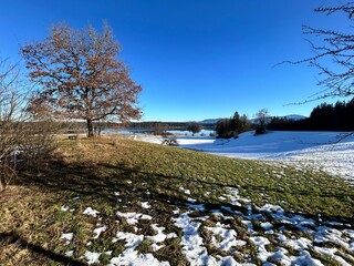 Winter landscape moorlands Osterseen, Iffeldorf, Munich, Bavaria, Germany: View from snowy meadows over the lake Grosser Ostersee to the alpine mountains on a beautiful sunny day