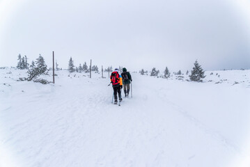 Karkonosze in winter in Poland. Winter mountain landscape....