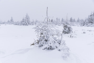 Karkonosze in winter in Poland. Winter mountain landscape....