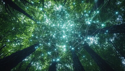 A dense forest canopy with digital connections representing the power of nature's network