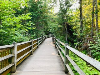 Boardwalk Pathway