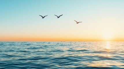 Fototapeta premium Birds Soaring Above Expansive Marine Horizon at Sunrise