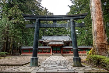 Shinto torii gate stands in front of a temple in a serene forest. Nikko. Japan.