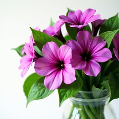 Obraz premium A bouquet of violet pink garden flowers with lush green leaves, leaves, flowers, bouquet