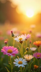 Obraz premium A serene sunset over a blooming field filled with vibrant flowers, perfect for nature-themed projects, wellness, and environmental topics.