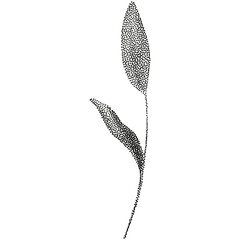 Grunge vintage flowers and leaves en halftones. Aesthetic graphic tattoo. Gothic punk poster.Trendy elements with retro photocopy effect.