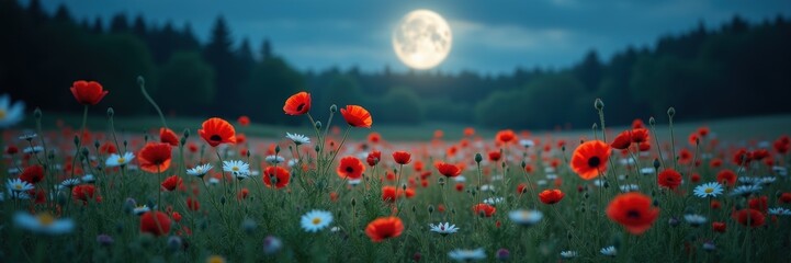 Fototapeta premium A serene nighttime landscape featuring a field of red poppies and wildflowers under a bright moon, perfect for nature-themed projects or calming visuals.