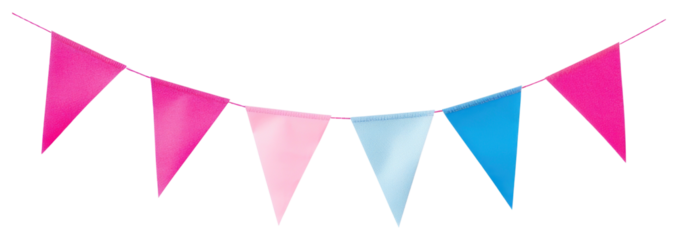 PNG Pink and blue festival party bunting white celebration triangular.