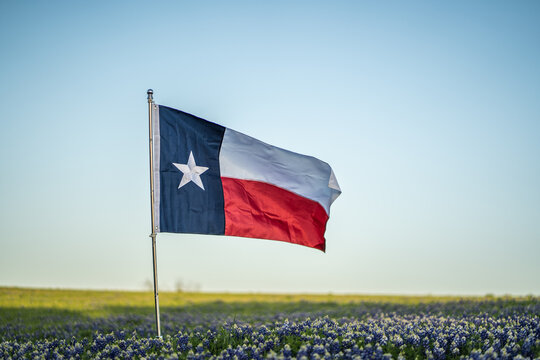 Texas Flag Blowing In The Wind In Rural Field of Bluebonnet Flowers With Blue Sky