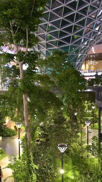 The Orchard. Hamad International Airport in Doha, Qatar. Vertical video