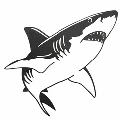 Naklejka premium shark illustration