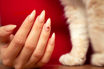 Valentine's Day Manicure Idea