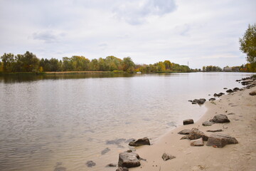 The forest is reflected in the water of the river