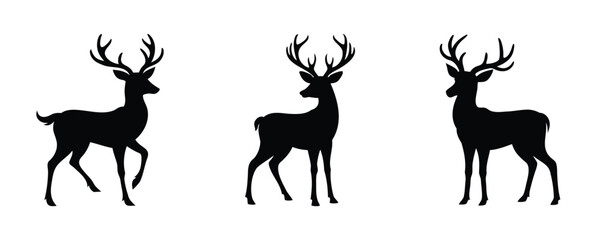 Here are 40 keywords for the title 