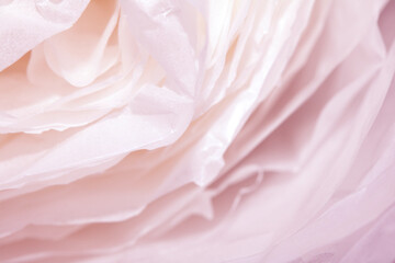 Torn Paper Layers Delicate Abstract Gentle Petal Texture Background