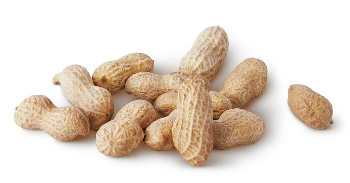 Isolated peanuts. Bunch of raw shelled peanuts of different shapes isolated on white background