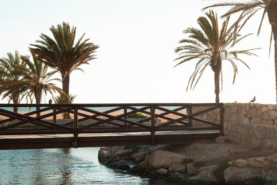 wooden bridge surrounded by palm trees over the stream that goes to the sea in Comaruga, Tarragona, Spain