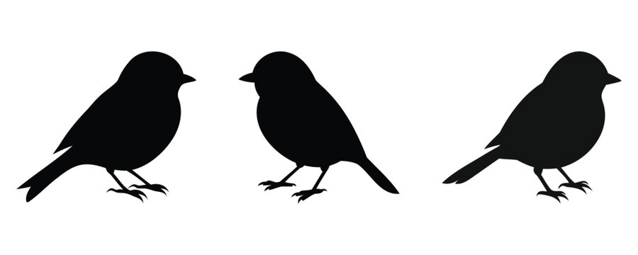 Here are 40 keywords for the title "Chickadee Silhouette Set Vector Design