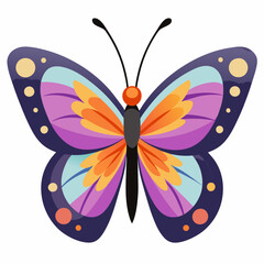 butterfly on white background