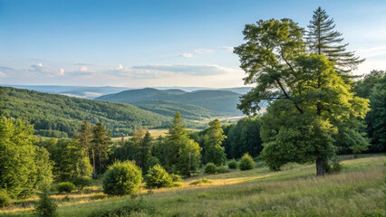 Fototapeta premium Pictures of beautiful landscapes