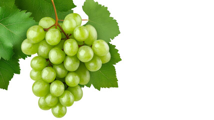 Obraz premium Green Grapes Isolated on White Background - Fresh, juicy green grapes, symbolizing health, abundance, nature's bounty, sweetness, and refreshment.
