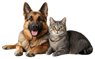 Obraz premium PNG Cute dog and cat background shepherd animals.
