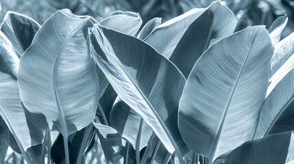 Detailed Teal Tropical Leaves Background Texture