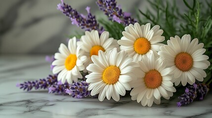 Fototapeta premium Daisies and Lavender Resting on Marble