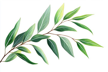 A detailed illustration features a branch adorned with various green leaves, highlighting their shapes and textures. The artwork emphasizes a vibrant depiction of nature.