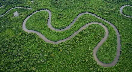 Aerial view, winding road, S-shaped curve, lush green forest, dense vegetation, bird's eye perspective, serpentine path, verdant landscape, intricate road design, nature meets infrastructure, overhead