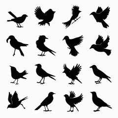 Obraz premium bird, silhouette, vector, birds, flying, illustration,