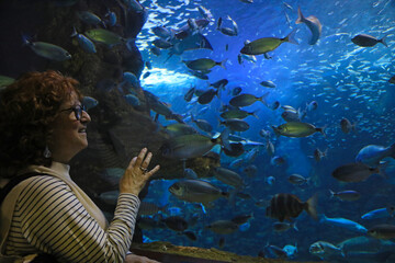 Fototapeta premium mujer mirando peces en el tunel del aquarium de donostia san sebastian 4M0A4898-as25