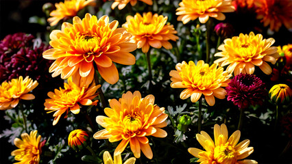 Autumn-themed floral arrangement featuring chrysanthemums, marigolds, and warm-colored blossoms in a seasonal display with rich orange, red, and yellow hues.

