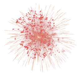 Fototapeta premium PNG Firework fireworks night celebration.