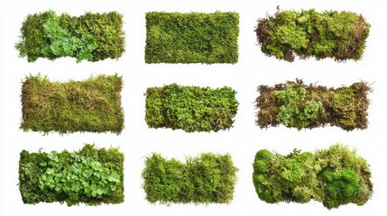 natural green moss border frame collection isolated on white background with various textures and patterns for environmental design projects