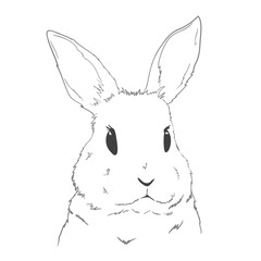 Cute outline rabbit, bunny for coloring. Rabbit Bunny Cartoon Outline Coloring Book or page for kids. Illustration Vector.