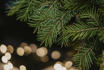 christmas tree lights background