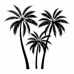 Obraz premium palm tree silhouette