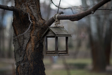 City Park: Bridges, houses, trees, bird feeders.