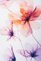 Naklejka premium Pink and Orange Watercolor Flowers