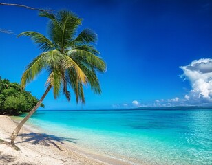 Naklejka premium beach with palm trees