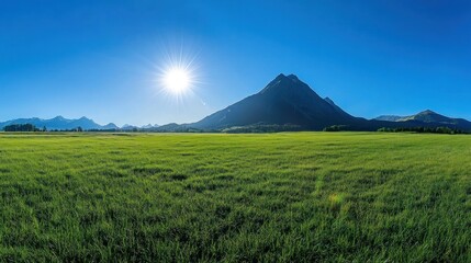 Sunny day in a green meadow with mountains in background.