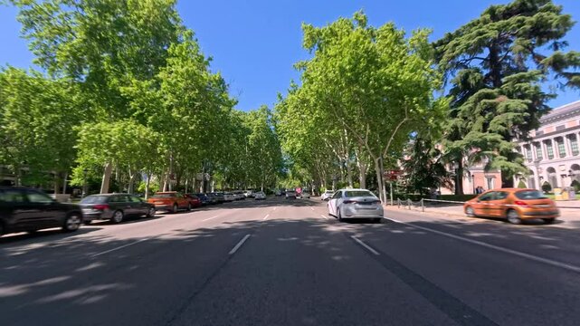 Driving Plate through the Paseo del Prado from Atocha Square to the Fountain of Neptune visualising the El Prado Museum on the right of the video with lots of traffic in the city, Madrid, Spain
