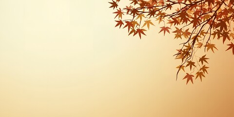 Serene Autumn Background Branch of Maple Leaves against Soft Warm Sky