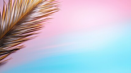Fototapeta premium A palm leaf on a pink and blue background